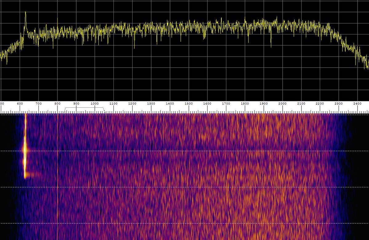 SP5MG PETER tweet media
