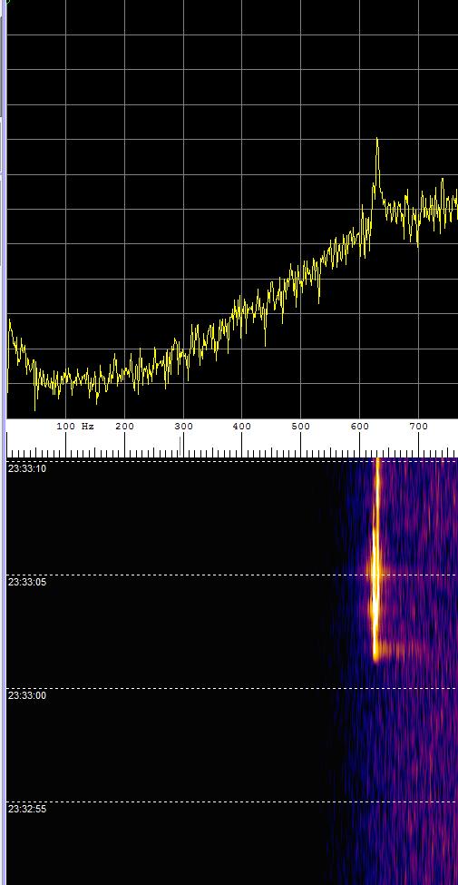 SP5MG PETER tweet media