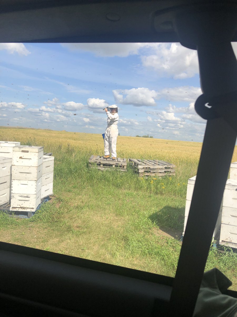 Stop 3 is at Sun River Honey learning from Shannon the bee keeper about what goes into honey production. It is astounding to see the amount of honey bees can produce! #TeachersLearnAg