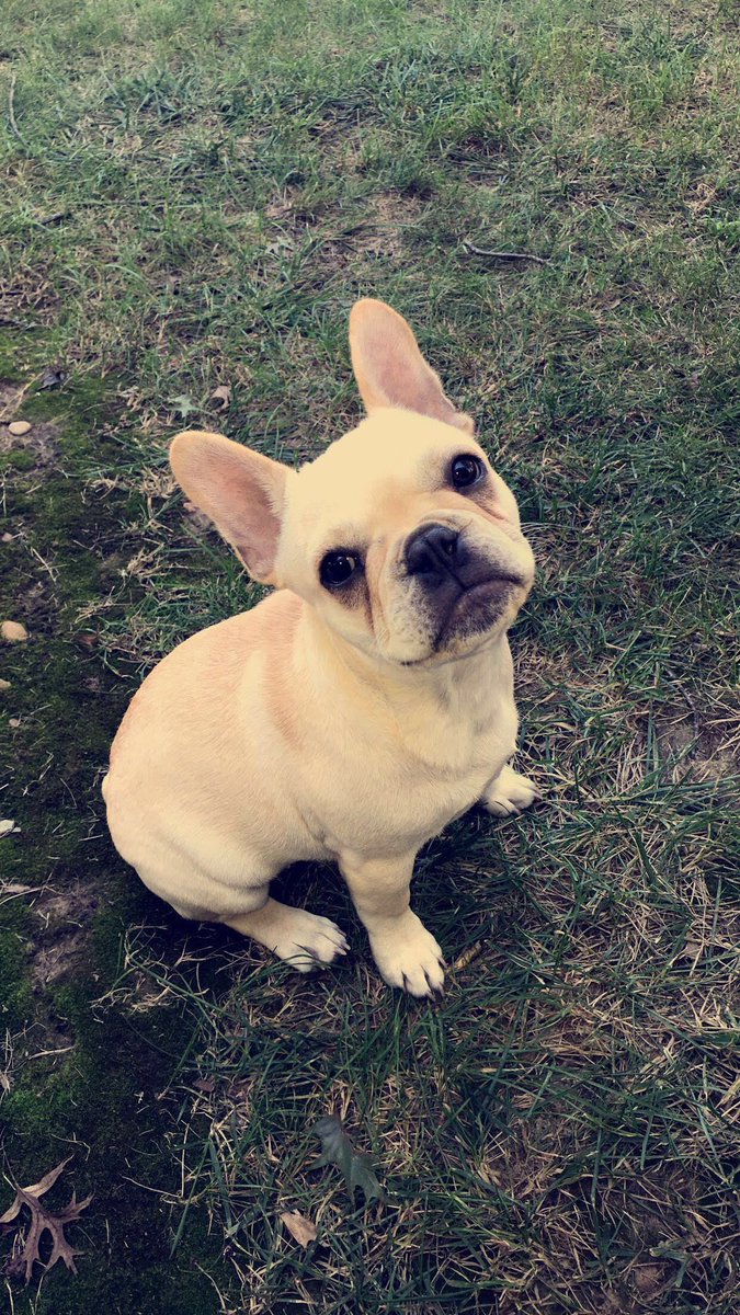kLudwig24's tweet photo. @nicolconcilio Moose Goose 💕💕💕 https://t.co/CwENDnWZtM