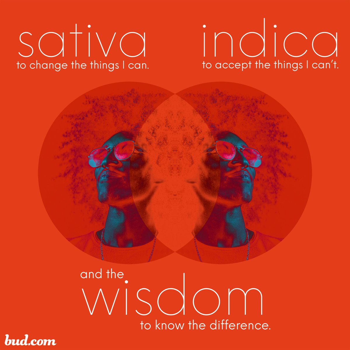 budlovesyou's tweet photo. Is it sativa or indica time?

#cannabis #sativa #indica #wisdom #flowerpower #budlovesyou https://t.co/DQjFOR8AdV