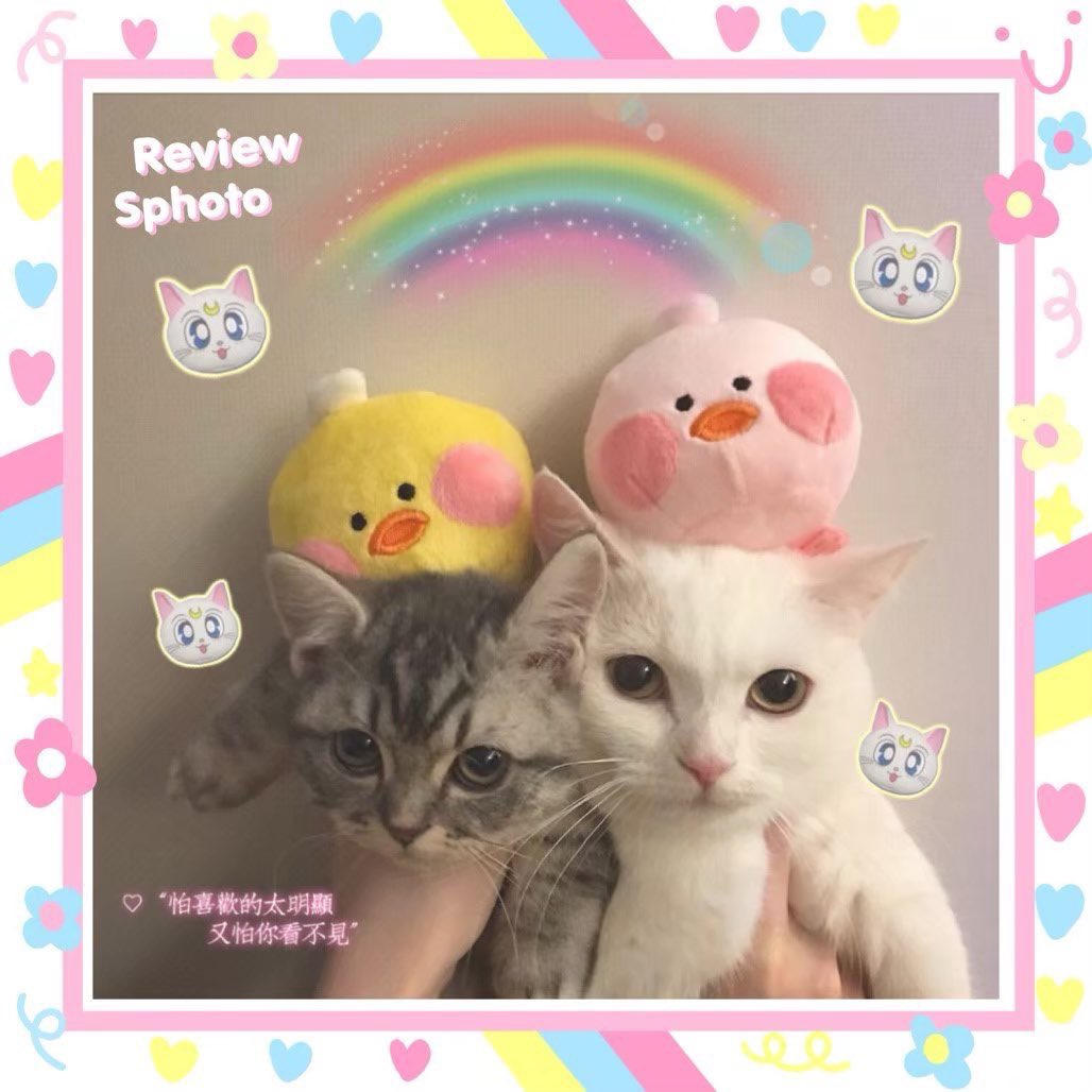 𓈒 ⁺ .♥︎ 𝓚night יִ 𝓢tore 🕷𓈒 ᛌ . tweet media