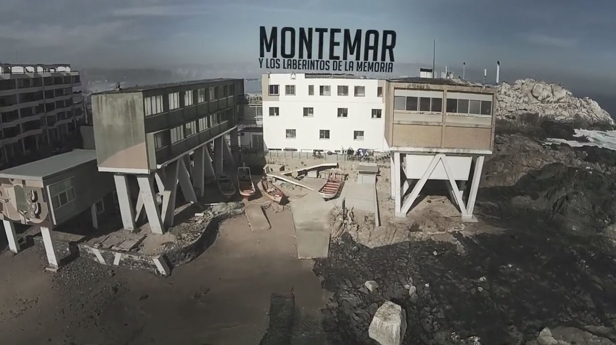 A propósito de la ley de la #jibia ¿Sabías que este molusco forma parte de importantes investigaciones de la neurociencia mundial?

Conoce la historia que nace en la región de Valparaíso, en este documental que preparamos junto a <a href="/CabalaTV/">CabalaTV</a>
 
youtu.be/KPey93HBekc