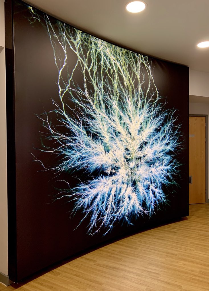 cancerphysicist's tweet photo. Didn’t think I’d ever see one of my photos as 3x3m light box ☺️
(Just next to the reception in the Wellcome Trust Brenner Building at LTHT, in case anybody wants to have a look ...)
@LTHMedPhysics @LeedsMedHealth @medpfj @IPEM
#medphys #electrontree #ScienceAsArt #physics https://t.co/dqFWyGfozE