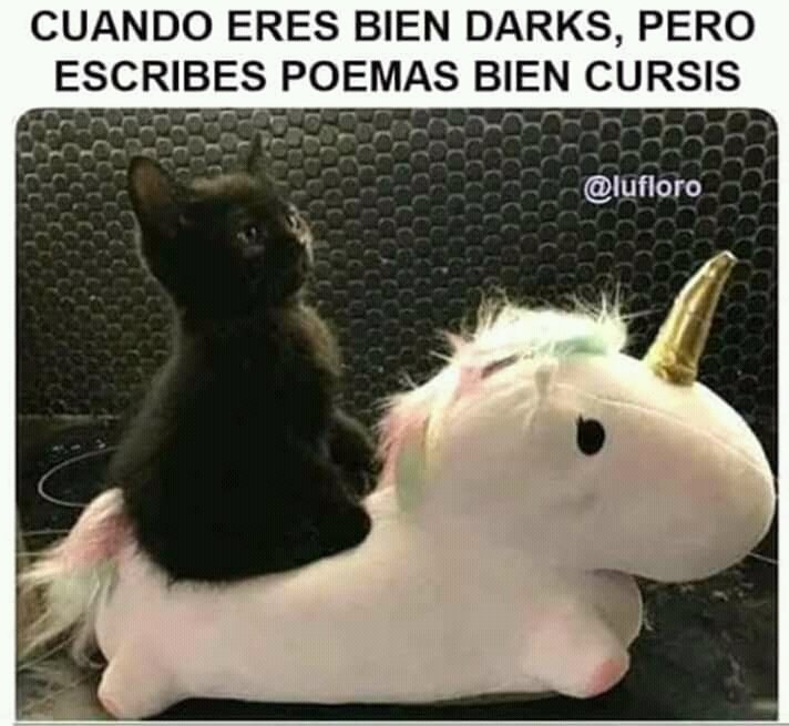 rogerenradio's tweet photo. #MeDeclaroCulpableDe ser demasiado cursi y empalagoso cuando estoy enamorado… No me ha pasado, pero cuando me enamore les aviso. https://t.co/wsOKKP4FYZ