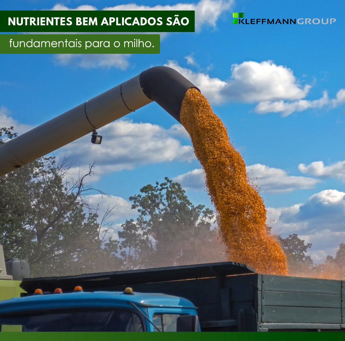 KleffmannBR's tweet photo. A produtividade da lavoura de milho depende de nutrientes bem aplicados, como enxofre e potássio. 
“O enxofre ajuda a aumentar a oferta de proteínas e aminoácidos essenciais. Como consequência, o uso desse recurso aumenta a qualidade do grão.
👇
https://t.co/FraJfDOR5P https://t.co/IBgrhvdQKw