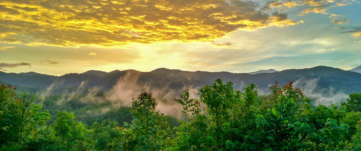 LinvilleFalls's tweet photo. A lush hardwood forest. A pristine rushing river. Views overlooking an emerald golf course or long-range vistas of the Blue Ridge Mountains. Learn why you should make Linville Falls Mountain Club your home: https://t.co/ozlVpjQ3vv https://t.co/SWbaHakE4f