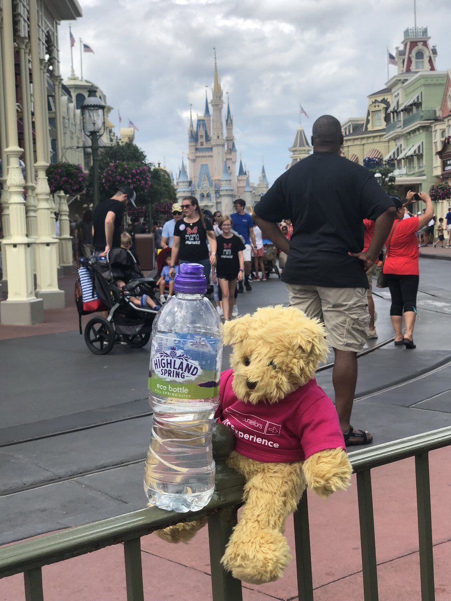 HeidiEdwards11's tweet photo. @RoySeniorHAL TC Ted in Magic Kingdom, Orlando, doing his bit for the environment. Plastic - it’s not fantastic! #TCExperience https://t.co/okG3ssndyB