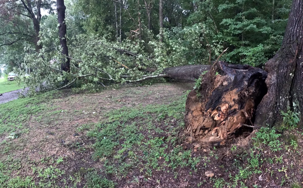 ashleyroberts81's tweet photo. @WilsonSevereWX Tree down from earlier storm, Carthage Highway in Lebanon https://t.co/YmwvtbahGC