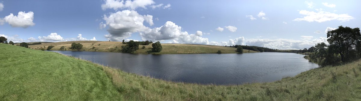 elainepye1's tweet image. Lovely afternoon for a walk with the biggest and littlest members of the family!
#AHPsActive #loveactivityhateexercise
