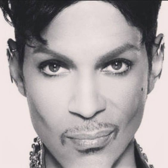  Touch if you will my stomachFeel how it trembles insideYou've got the butterflies all tied upDon't make me chase youEven doves have pride  @BTS_twt