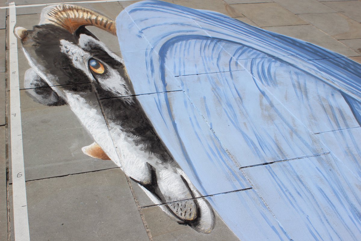 CompagnieHO's tweet photo. Artist Jean-Marc Navello at @ThePieceHall
Coloured Earth Festival in Halifax powered by @UrbanPhil #unitedkingdom
French team #FISPT @VilleDeToulon #Toulon #France
-
#streetpainting #chalk #art #pavementart #outdoor #StreetArt #urbanart https://t.co/pmVWSYfSLq