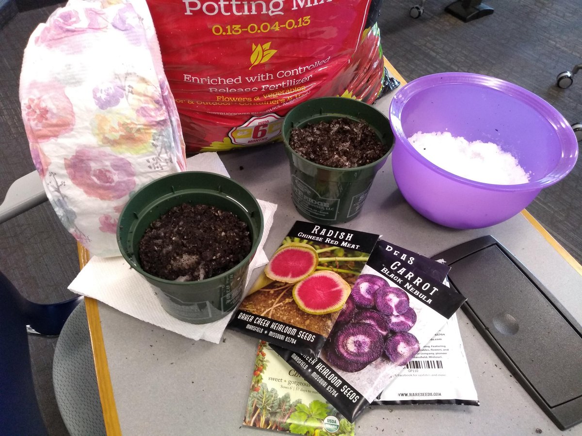 bolisikora's tweet photo. UCONN TCPCG Ag students taught how Diapers can help plants grow! @UConn @UConnNeag #uconnhartford #nowyouknow #kingofrandom #tcpcg #edci5825 #agEdu #UConn #teachers #futureagteachers https://t.co/oRTte8fFIH