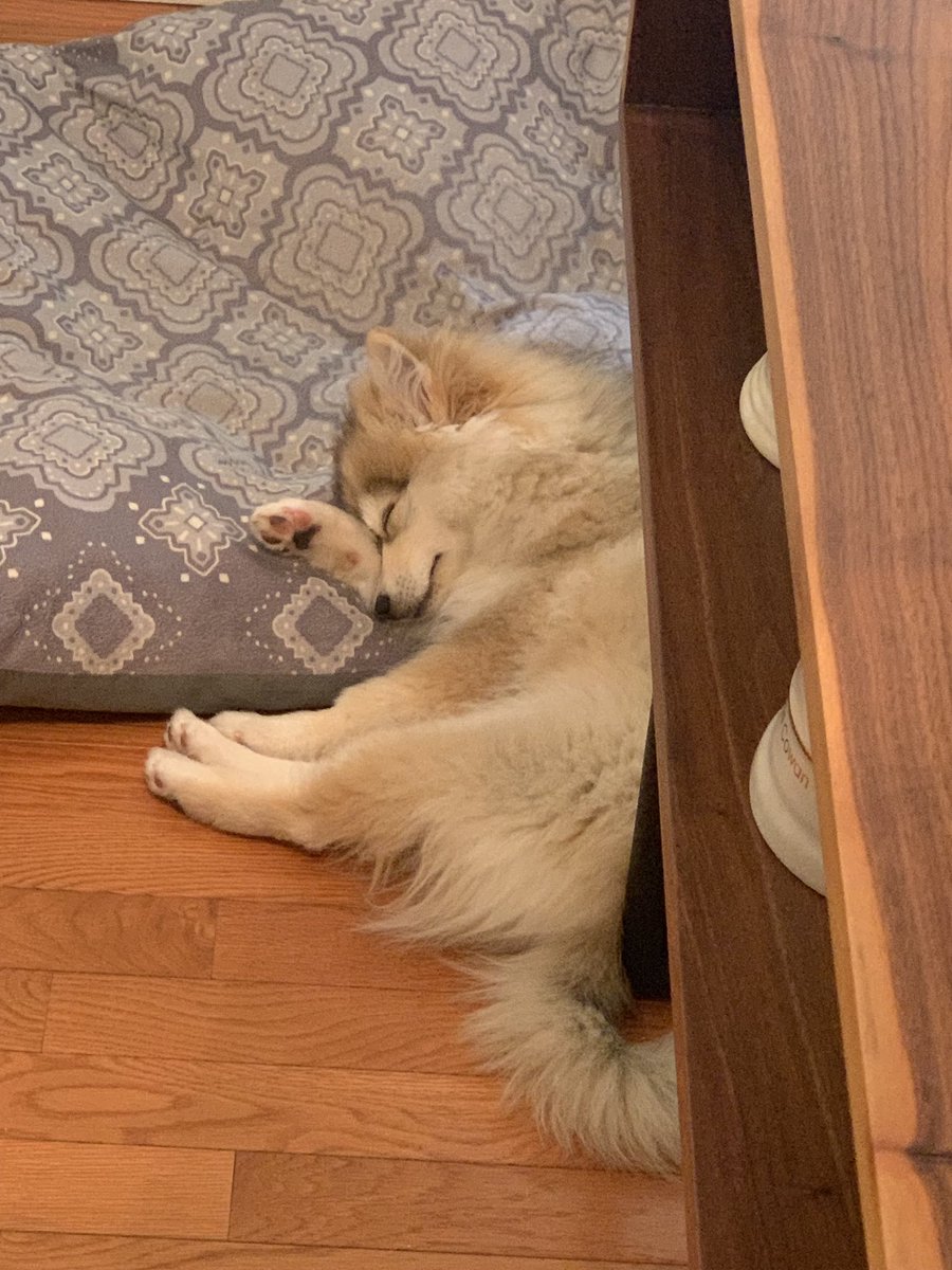 First day back to school got me like...