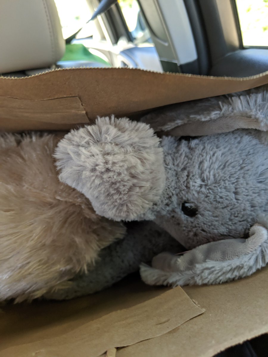 StinaQuinn's tweet photo. I don't think we are ever able to go on vacation without caving on the stuffed animal purchases 🤦#suchasucker https://t.co/GEU86vCgQb