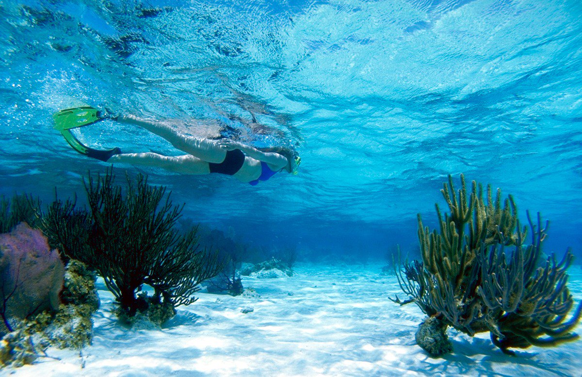 AdventuresBz's tweet photo. Snorkeling and Diving at Laughing Bird Caye. 🐟 See why this adventure is something that you will definitely want to do while in Belize: https://t.co/BhXQDaj7p7 

#Belize #AdventuresinBelize #AdventureVacations #BelizeTravel #BelizeAllInclusive #BelizeResorts https://t.co/cfzROkbLSe