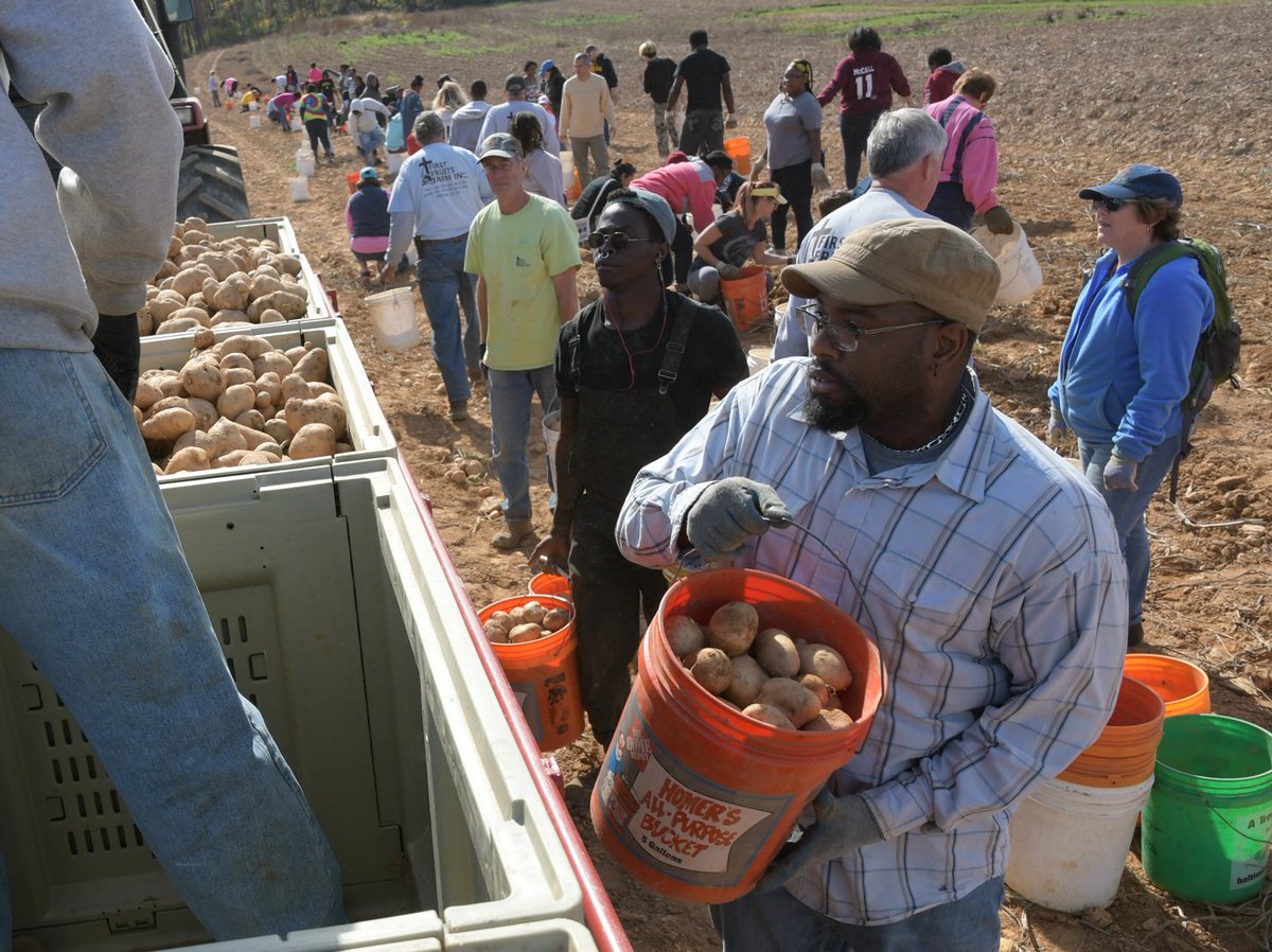 archbalt's tweet photo. For more than 20 years, #FirstFruitsFarm has been growing vegetables for distribution to the needy. Rick Bernstein, co-founder of the farm, recently spoke with the Catholic Baltimore radio show about his organization’s outreach and growth. Listen here: https://t.co/keaFLOvOz4 https://t.co/adbl9tTJd9