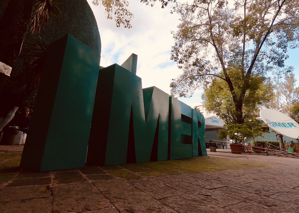 Endémico Mx tweet media