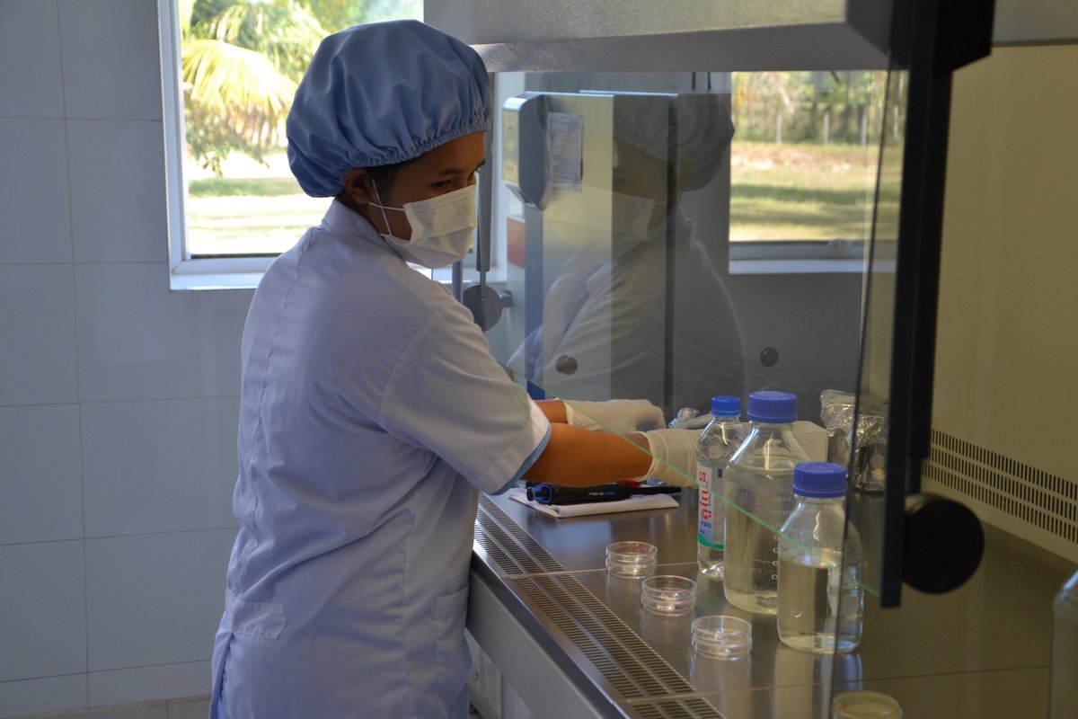 kularawater's tweet photo. [Did you know?] In all stages of production, from collection at source to bottling, continuous rigorous monitoring of procedures ensures strict compliance with quality standards. Eau Kulen's bottling plant is GMP and HACCP certified and meets the highest international standards. https://t.co/1yaUHHFon8