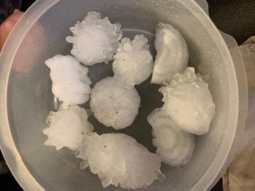 Record-breaking hailstone in Colorado EB4sjYXU4AA1At5?format=jpg&name=360x360