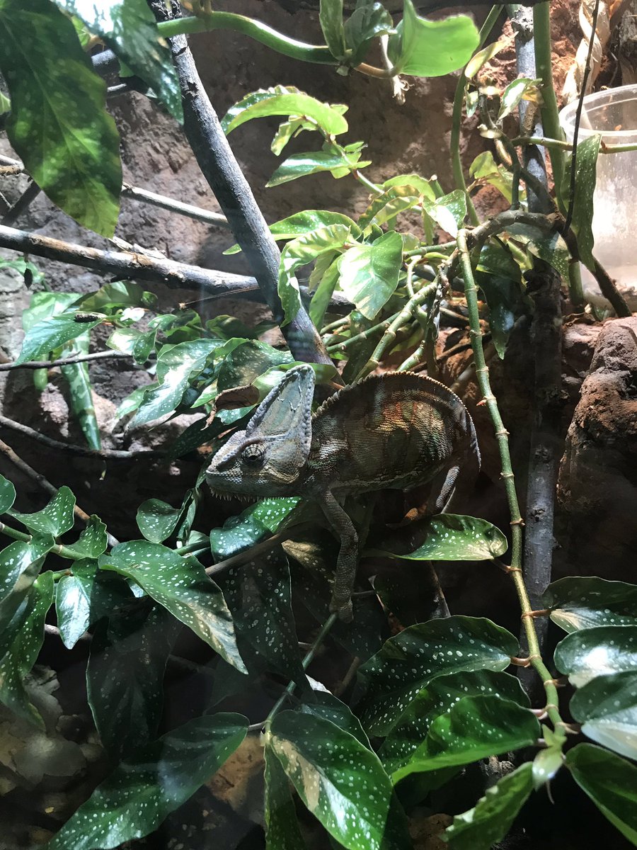 chad prather tweet media