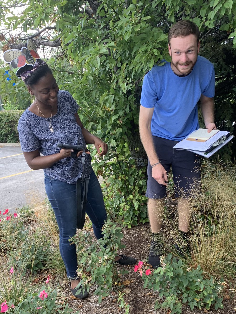 HealthyTreesHC's tweet photo. Wait, is that a spotted lantern fly looking for… #spottedlanternfly? No! It’s #ImaniVillage Green Health Advocates Rachel and Jake monitoring the health of trees in Chicago. #MortonArboretum #TrinityChicago #TheNatureConservancy_IL #Nature_IL https://t.co/pA8l8C1AHY