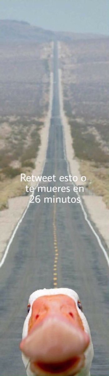 CompaMemes's tweet photo. Abre para tener la mejor sorpresa de tu vida https://t.co/m0IGkYNszi
