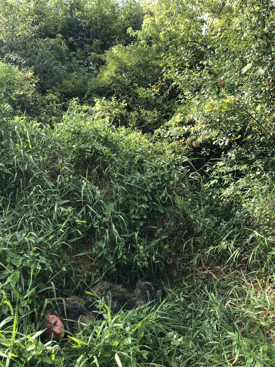 Sandburg_fanz's tweet image. #likewhenyouseeit #1Word