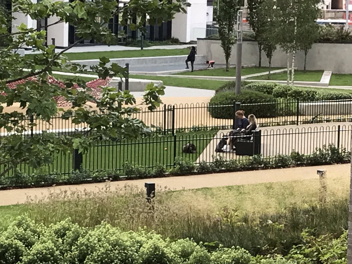 boodadley's tweet photo. #wembley has seen some #greatdanes as goalkeepers in its history but this latest part of #wembleypark is just for the four legged kind #elvingardensdogrun #EGdr #tipi #dogslife #petsounds 🐕 👍 https://t.co/qoRlZGiIn7