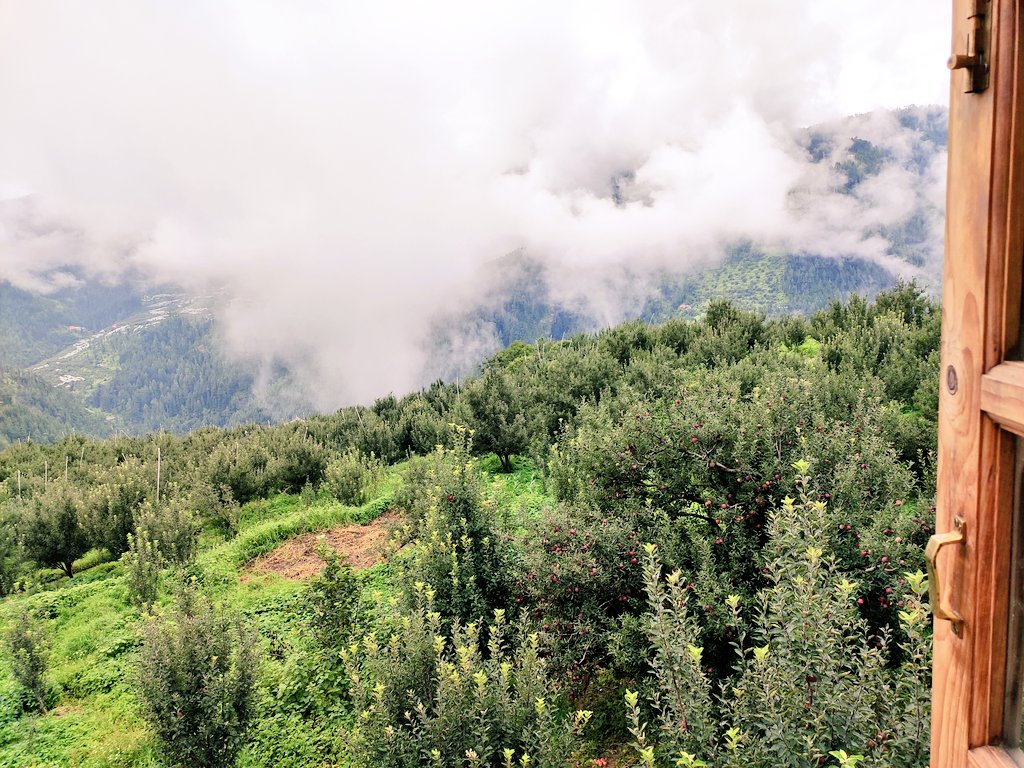 ImAnujbharti's tweet photo. Day 2nd Well Spend in #Shimla Himachal Pardesh
#appleSession
#CoolWeather https://t.co/rPDhiSpI1I