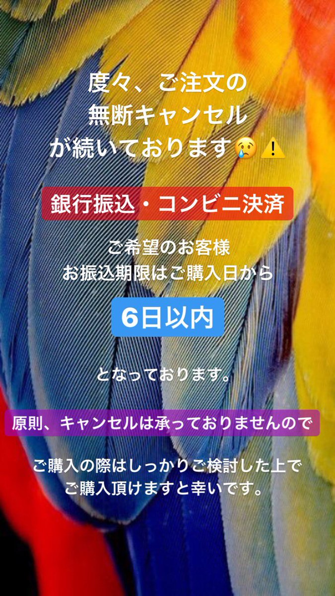 AileIen's tweet photo. いつもLIENをご愛顧くださる皆様へ𓇢𓅮

⚠︎⚠︎⚠︎ご注文時の注意事項⚠︎⚠︎⚠︎

一部になりますが、画像にまとめ
Instagramのストーリーに投稿致しました。
Instagramをご利用されていない方もいらっしゃると思いますので
こちらにも投稿させて頂きます。
一度、目を通して頂けると幸いです。 https://t.co/svSDosquCJ