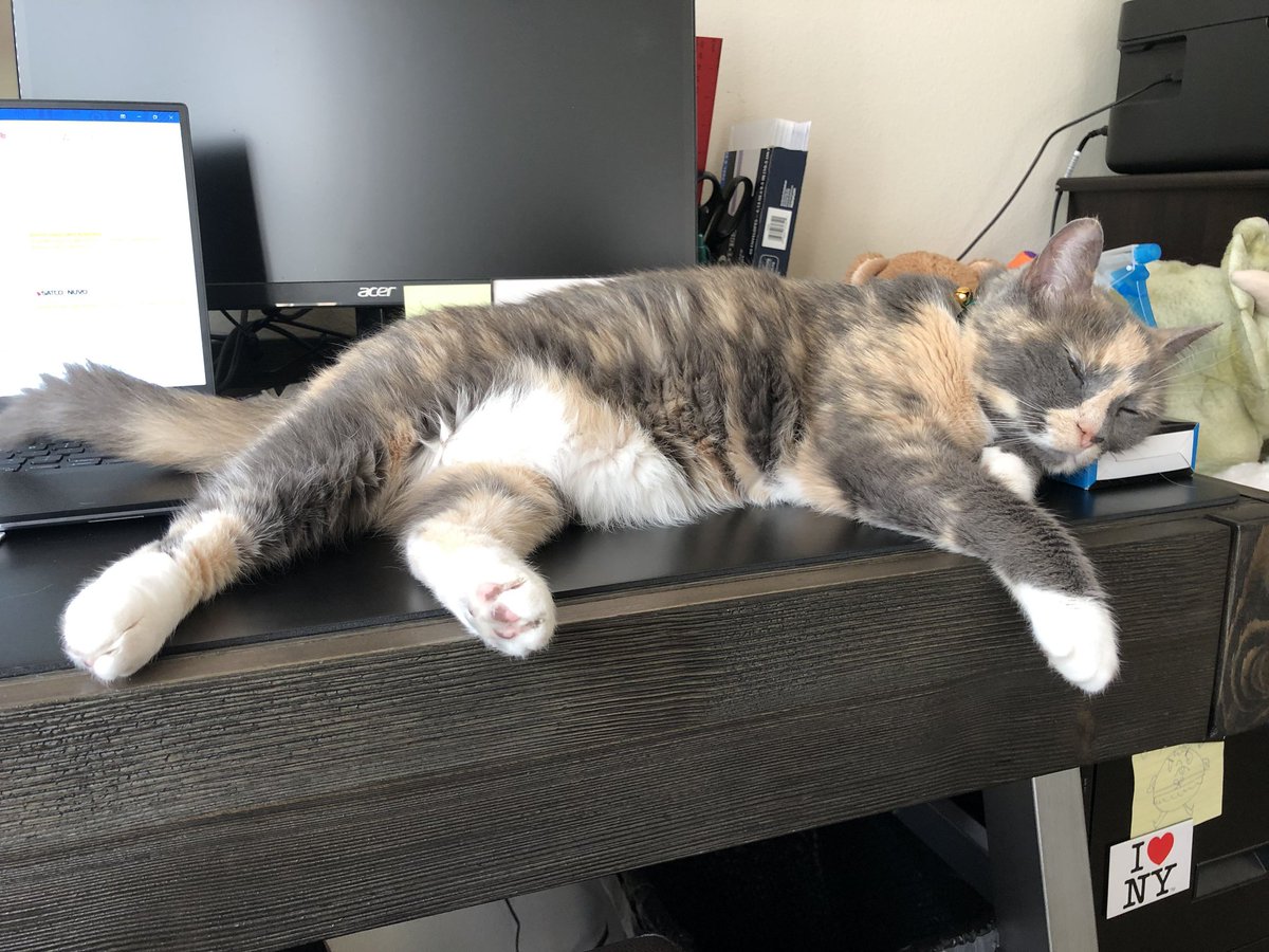 weimeows's tweet photo. #crash https://t.co/Z01LNsdoOx