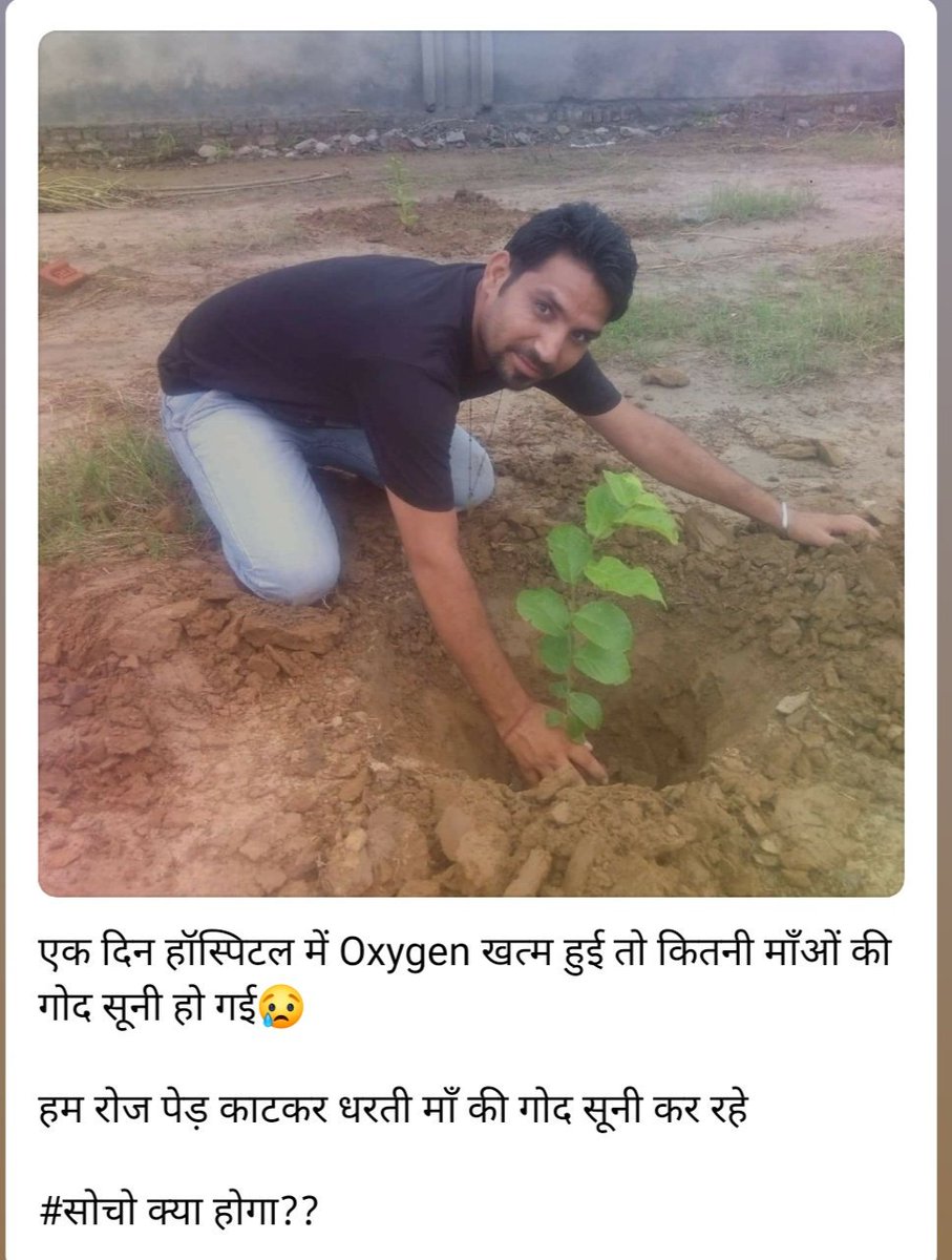 ShivvIndia's tweet photo. #PlantATreeGetOxygenFree #JoinHandsForTreePlantation @derasachasauda @SACHKAHOON @sachishiksha @kumarshivMSG @mlkhattar @MahiGinni https://t.co/lNCPFMIpbp