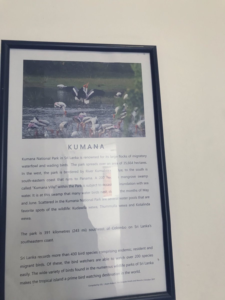 aishai111's tweet photo. Only Ugandans will find the name funny #Kumana #SriLanka #mytravels #eishasworld https://t.co/nO5UxGbpNt