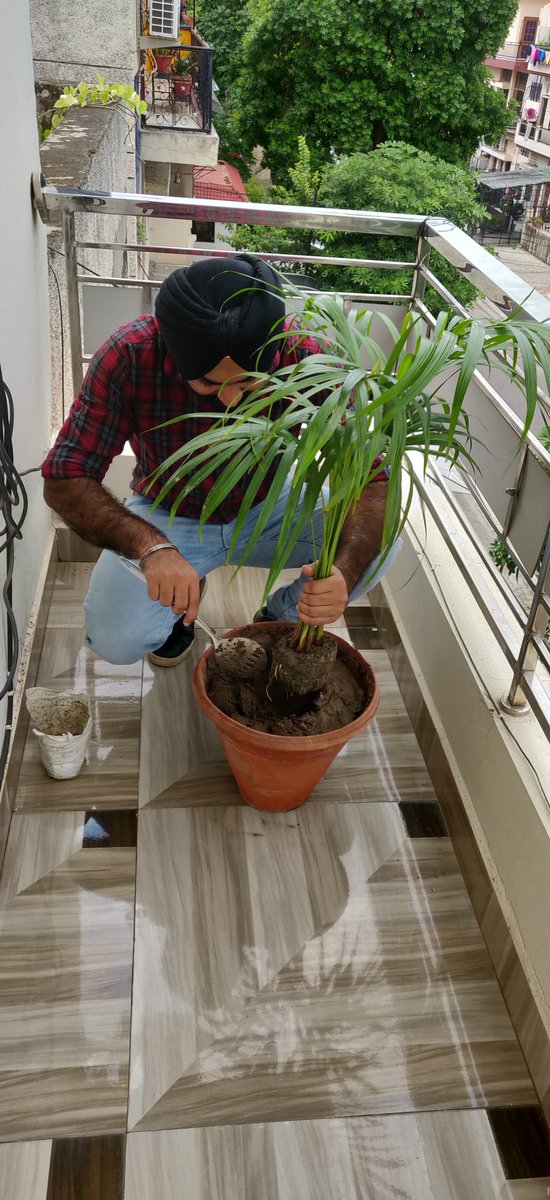 Manjit_Barnala's tweet photo. We had celebrated Dr. @Gurmeetramrahim Singh Ji's birthday with Tree plantation.
Salute to him for such a great inspiration and blessings. #PlantATreeGetOxygenFree #JoinHandsForTreePlantation https://t.co/c5MkoVrpk9