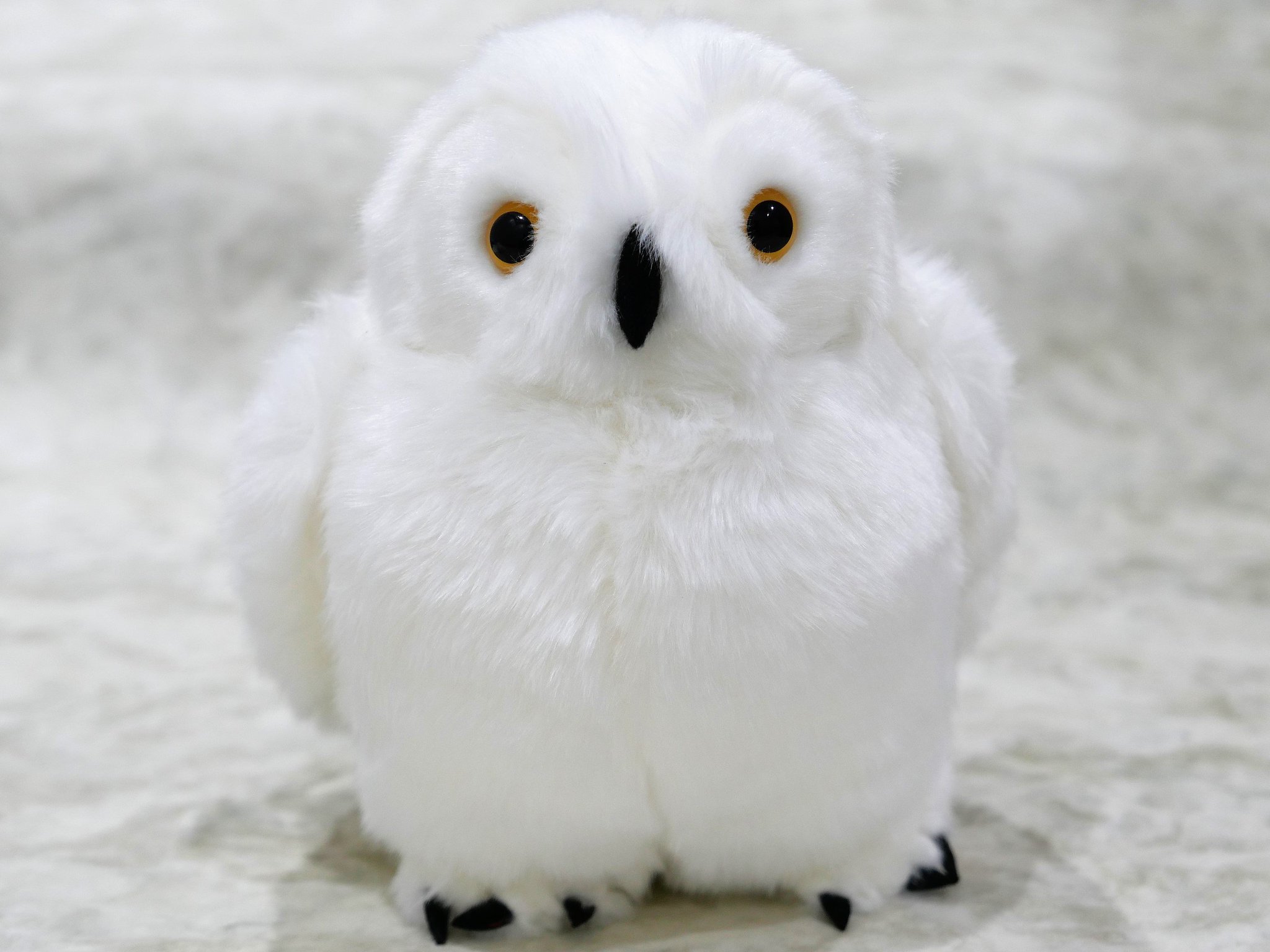 ホワイトフクロウ ぬいぐるみ