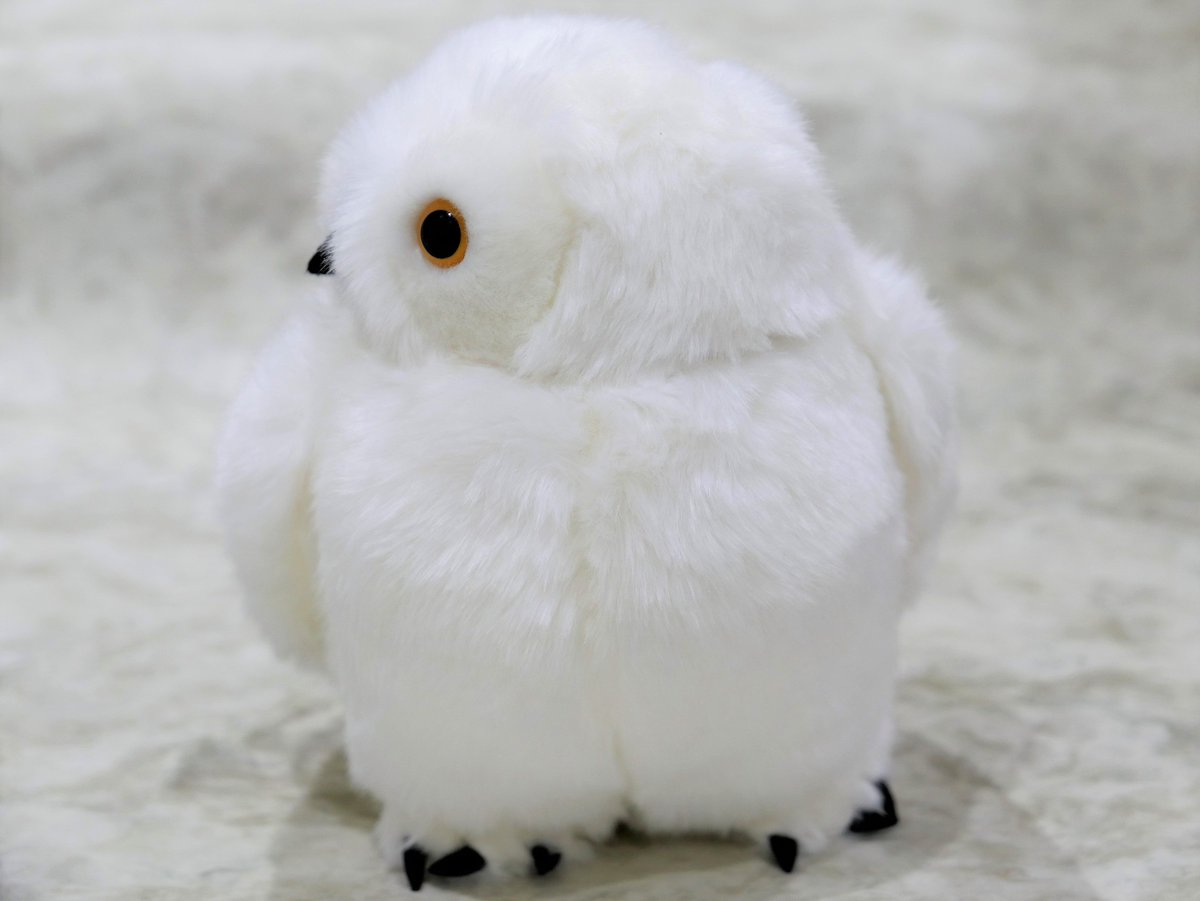 上野動物園 公式 猛禽類の中で人気のフクロウ ぬいぐるみ シロフクロウm 税込2 592円 はいかがでしょう 本物さながら 首がぐるりと まわります T Co Jodr7ssf05 Uzoo G T Co Acr7h3whj1 Twitter 上野動物園 公式 猛禽類の中で人気のフクロウ ぬいぐるみ シロフクロウm 税込2 592円 はいかがでしょう 本物さながら 首がぐるりと まわります T Co Jodr7ssf05 Uzoo G T Co Acr7h3whj1 Twitter
