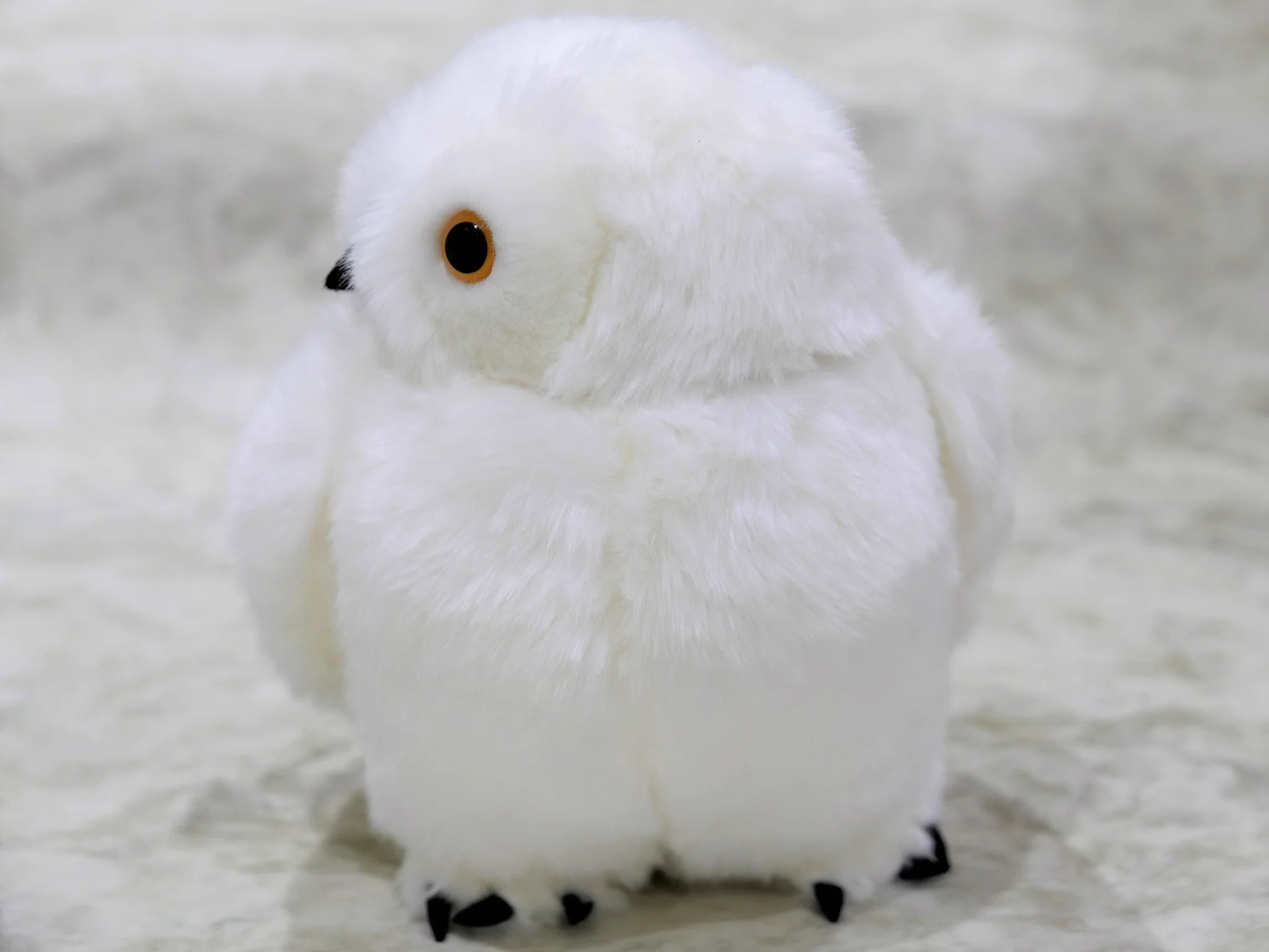 上野動物園［公式］ on X: 