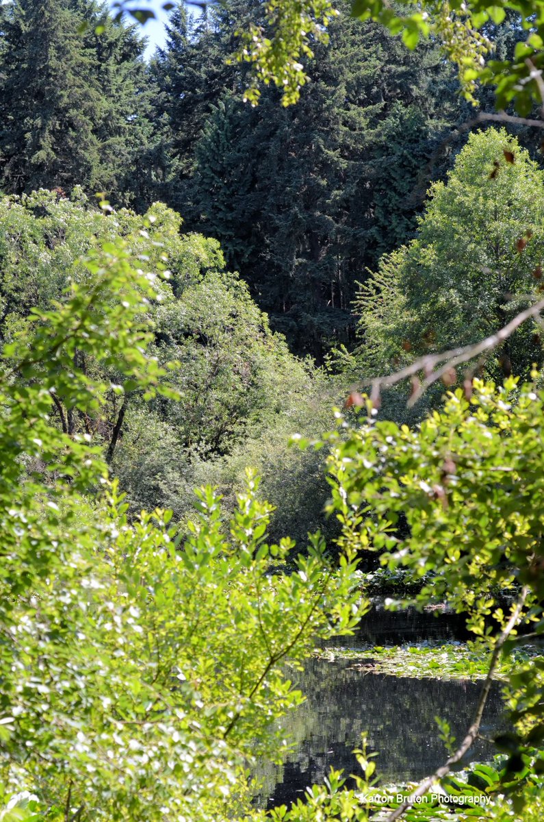 I went to the woods because I wished to live deliberately, to front only the essential facts of life [the inward facts] and see if I could not learn what it had to teach. I did not wish to live what was not life, living is so dear. Henry David Thoreau