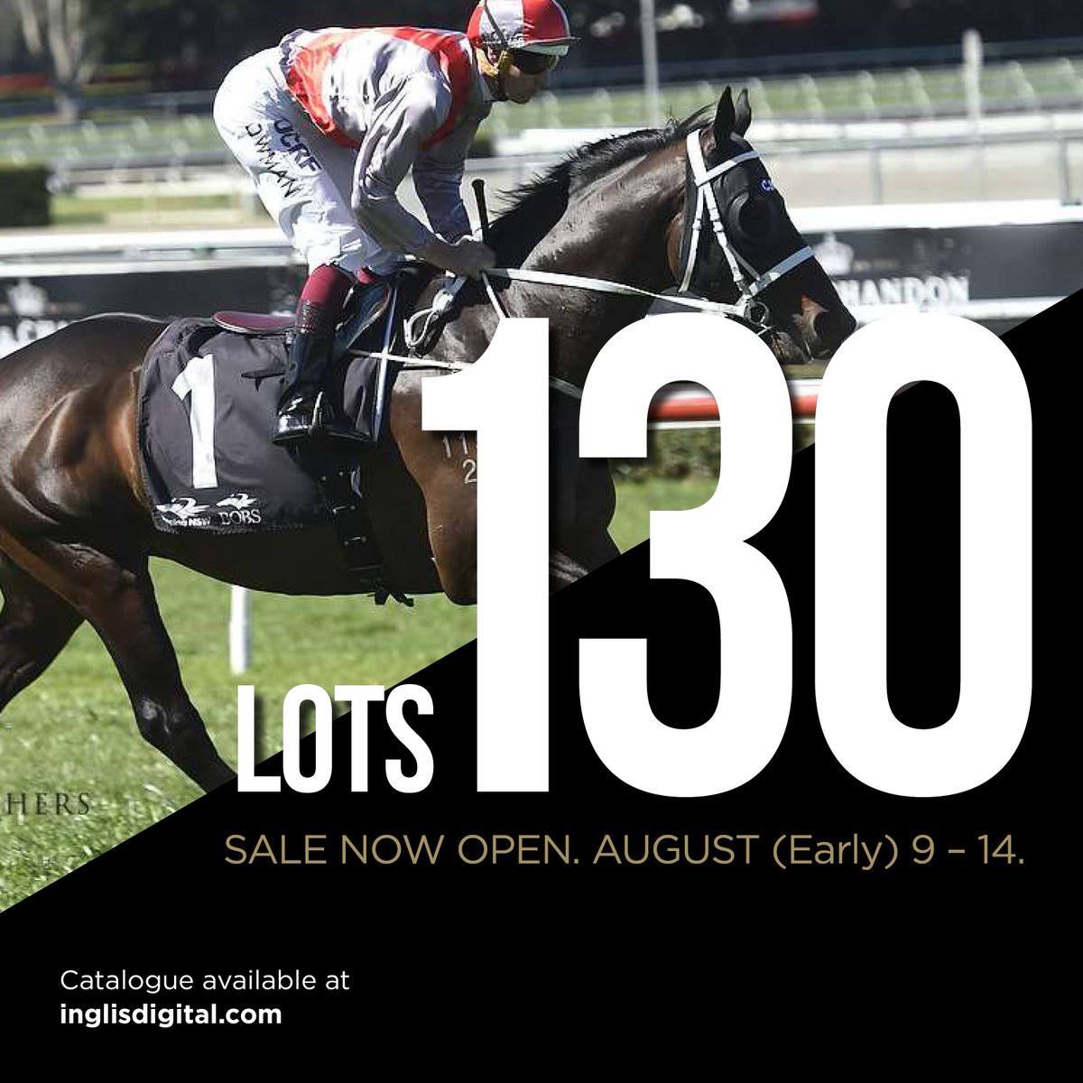 inglis_sales's tweet photo. ⏳ Final Countdown of bidding in @InglisDigital's August (EARLY) Online Sale commences at 3pm TODAY. Plenty of quality in the 130-strong catalogue: Tried horses, broodmares, race fillies, yearlings & stallion prospect Dracarys 📌https://t.co/dRyJmQJIEA #ProvenSource #TrustedName https://t.co/1k7IjDdH3u