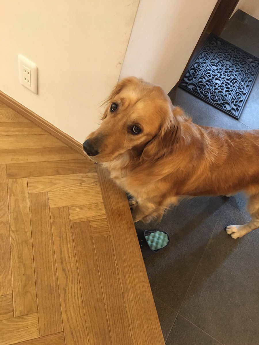 ラッド ウィンプ ス 福岡