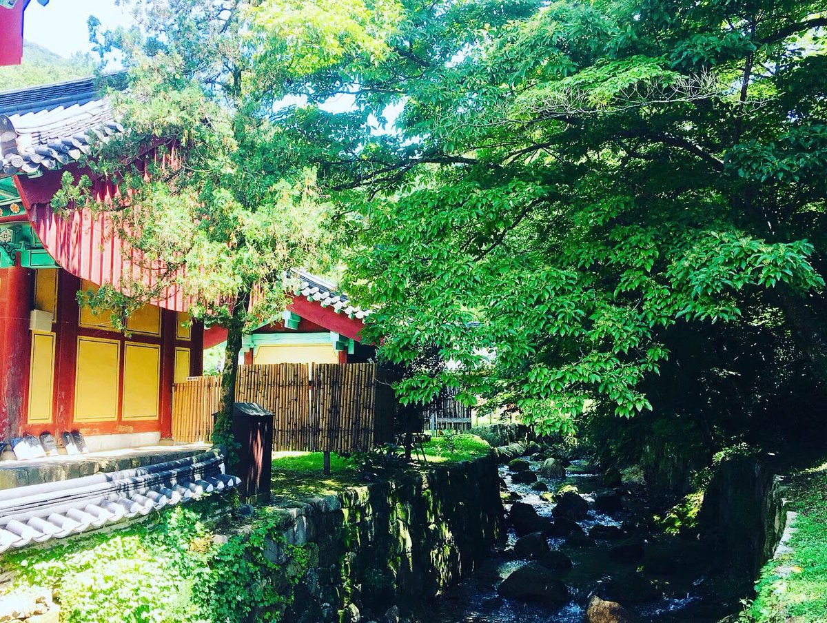 마음이 저 푸른 하늘 만큼이나 청명해진다.
폭염 속에 창공은 이미 결실의 가을이 온 것 같다.
해남 두륜산 대흥사📸
하얀 구름은 이러한 속인의 마음에는 관심없다는 듯 줄 지어 산등성이를  넘고 있다.🚶🏻‍♂️