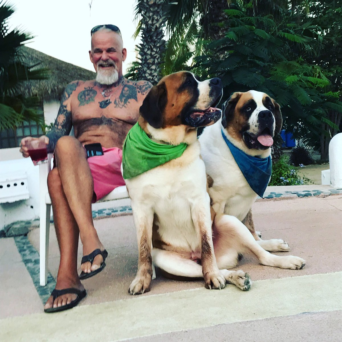 ted9596's tweet image. Livin hard on the fun side of trumps wall ./ the boys are confused tho, they are having a hard time finding skiers missing in the snow 😂