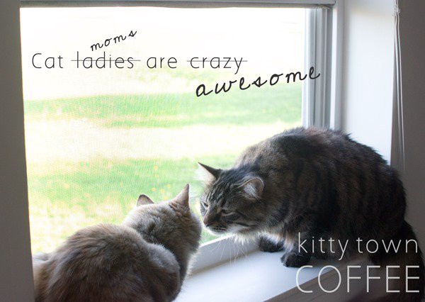 kittytowncoffee tweet media