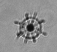 MargaretBrisbin's tweet photo. Here are my favorite #tinypretty acantharians from sorting plankton images all week. One big and one liiiiittle. Actually, they are both pretty tiny--everything is relative! Happy #TinyPrettyTuesday, a weekly (sort-of) celebration of #plankton, #protists, &amp; #microbes. https://t.co/CTYfqw9ElP