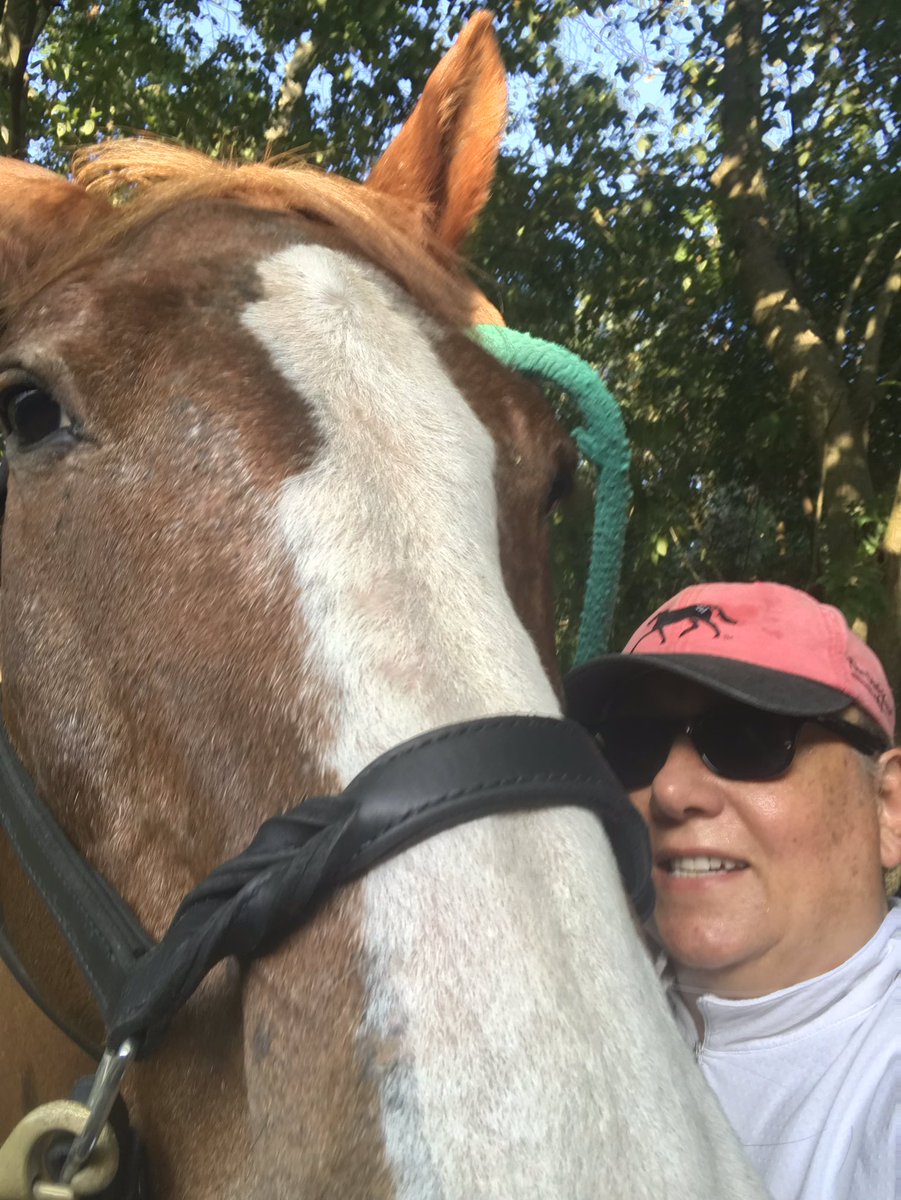 IzzoJulie's tweet photo. Braved the brutal heat - equestrianism is also hanging out together in the shade &amp; playing with the hose #htownheat #OldnuggetBilieux❤️ https://t.co/UqRv1DYDU8
