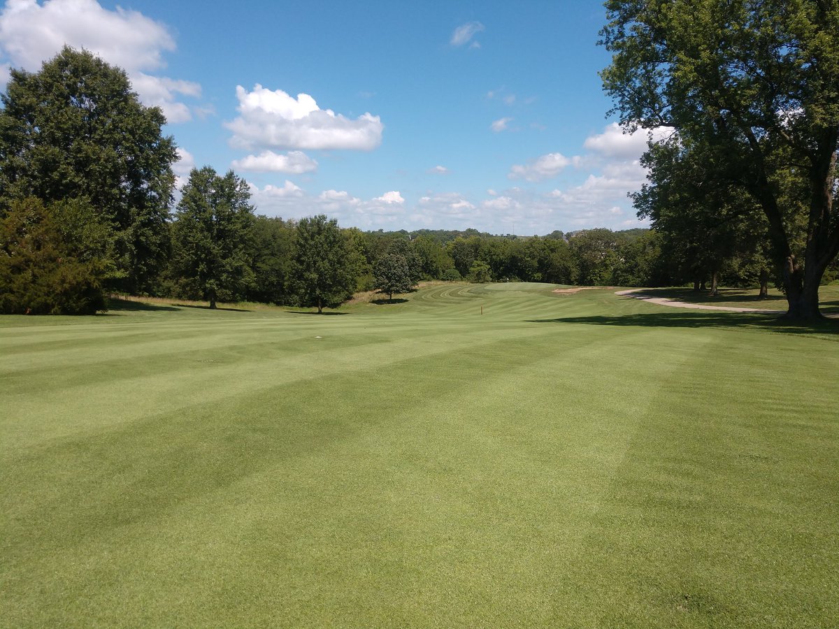 ahuffy1973's tweet photo. Can't believe it's August never have seen this place this green. Mother nature has been kind to us with timely rains. #antiuqeirrigation #singlerow #bestitseverbeen https://t.co/yt0yc64slz