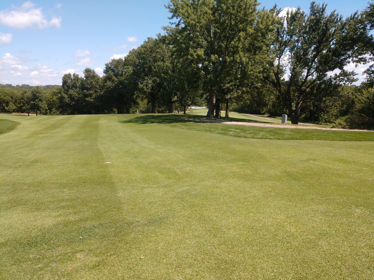ahuffy1973's tweet photo. Can't believe it's August never have seen this place this green. Mother nature has been kind to us with timely rains. #antiuqeirrigation #singlerow #bestitseverbeen https://t.co/yt0yc64slz