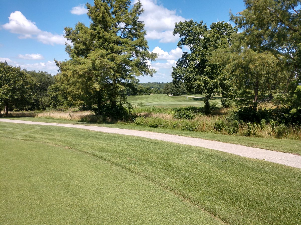 ahuffy1973's tweet photo. Can't believe it's August never have seen this place this green. Mother nature has been kind to us with timely rains. #antiuqeirrigation #singlerow #bestitseverbeen https://t.co/yt0yc64slz
