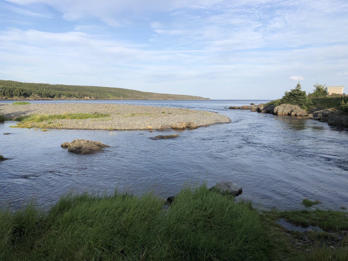 Took some time to stop and enjoy the view in beautiful Mobile as I took the dog for a stroll after supper.